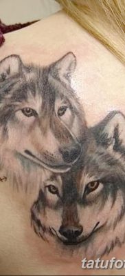 фото тату два волка от 19.08.2017 №030 — Tattoo two wolves_tatufoto.com