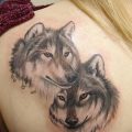 фото тату два волка от 19.08.2017 №032 - Tattoo two wolves_tatufoto.com