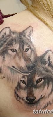 фото тату два волка от 19.08.2017 №032 — Tattoo two wolves_tatufoto.com