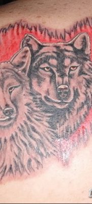 фото тату два волка от 19.08.2017 №038 — Tattoo two wolves_tatufoto.com