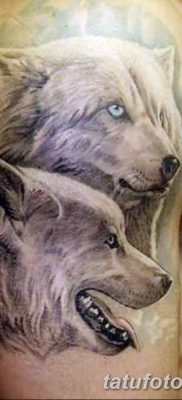 фото тату два волка от 19.08.2017 №043 — Tattoo two wolves_tatufoto.com