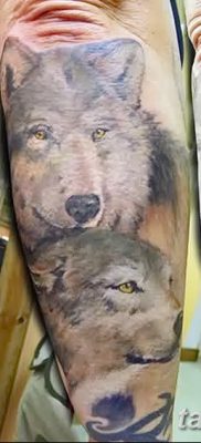 фото тату два волка от 19.08.2017 №046 — Tattoo two wolves_tatufoto.com