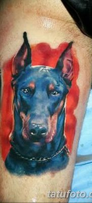 фото тату доберман от 18.08.2017 №003 — Doberman tattoo_tatufoto.com