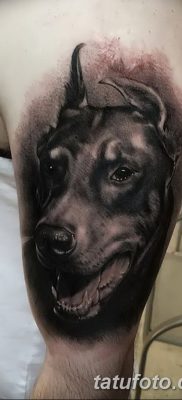 фото тату доберман от 18.08.2017 №005 — Doberman tattoo_tatufoto.com
