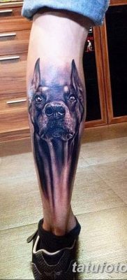фото тату доберман от 18.08.2017 №006 — Doberman tattoo_tatufoto.com