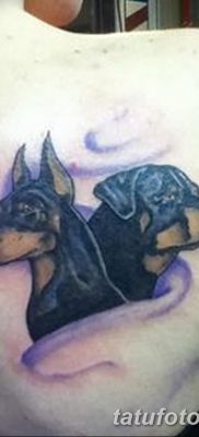 фото тату доберман от 18.08.2017 №008 — Doberman tattoo_tatufoto.com
