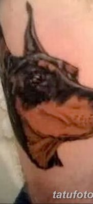 фото тату доберман от 18.08.2017 №009 — Doberman tattoo_tatufoto.com
