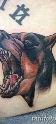 фото тату доберман от 18.08.2017 №017 — Doberman tattoo_tatufoto.com