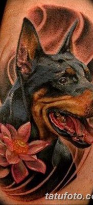 фото тату доберман от 18.08.2017 №025 — Doberman tattoo_tatufoto.com