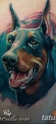 фото тату доберман от 18.08.2017 №035 — Doberman tattoo_tatufoto.com