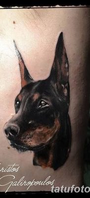 фото тату доберман от 18.08.2017 №038 — Doberman tattoo_tatufoto.com