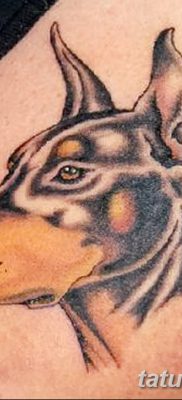 фото тату доберман от 18.08.2017 №039 — Doberman tattoo_tatufoto.com
