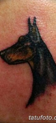 фото тату доберман от 18.08.2017 №051 — Doberman tattoo_tatufoto.com