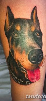 фото тату доберман от 18.08.2017 №053 — Doberman tattoo_tatufoto.com