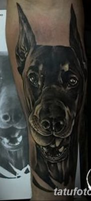 фото тату доберман от 18.08.2017 №056 — Doberman tattoo_tatufoto.com