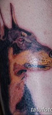 фото тату доберман от 18.08.2017 №057 — Doberman tattoo_tatufoto.com