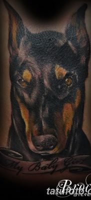 фото тату доберман от 18.08.2017 №065 — Doberman tattoo_tatufoto.com
