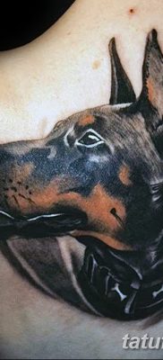 фото тату доберман от 18.08.2017 №069 — Doberman tattoo_tatufoto.com