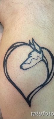 фото тату доберман от 18.08.2017 №071 — Doberman tattoo_tatufoto.com