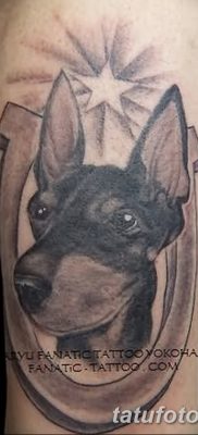 фото тату доберман от 18.08.2017 №077 — Doberman tattoo_tatufoto.com
