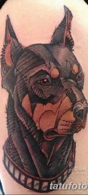 фото тату доберман от 18.08.2017 №081 — Doberman tattoo_tatufoto.com