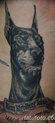 фото тату доберман от 18.08.2017 №086 — Doberman tattoo_tatufoto.com