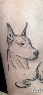 фото тату доберман от 18.08.2017 №091 — Doberman tattoo_tatufoto.com