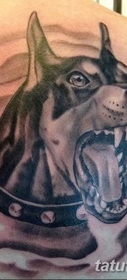фото тату доберман от 18.08.2017 №097 — Doberman tattoo_tatufoto.com