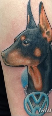 фото тату доберман от 18.08.2017 №098 — Doberman tattoo_tatufoto.com