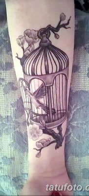 фото тату птица и клетка от 16.08.2017 №019 — Tattoo bird and cage_tatufoto.com