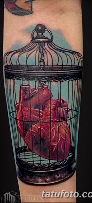 фото тату птица и клетка от 16.08.2017 №028 — Tattoo bird and cage_tatufoto.com