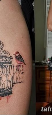 фото тату птица и клетка от 16.08.2017 №030 — Tattoo bird and cage_tatufoto.com