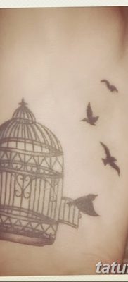 фото тату птица и клетка от 16.08.2017 №068 — Tattoo bird and cage_tatufoto.com
