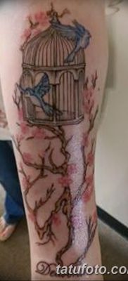 фото тату птица и клетка от 16.08.2017 №072 — Tattoo bird and cage_tatufoto.com