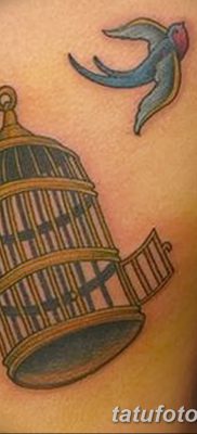 фото тату птица и клетка от 16.08.2017 №077 — Tattoo bird and cage_tatufoto.com