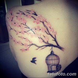 Фото тату цветущей сакуры на лопатке с летящей птицей. Нежные розовые лепестки и тонкие линии создают романтичный образ.