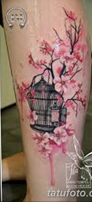 фото тату птица и клетка от 16.08.2017 №139 — Tattoo bird and cage_tatufoto.com