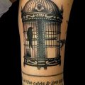 фото тату птица и клетка от 16.08.2017 №145 - Tattoo bird and cage_tatufoto.com