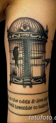 фото тату птица и клетка от 16.08.2017 №145 — Tattoo bird and cage_tatufoto.com