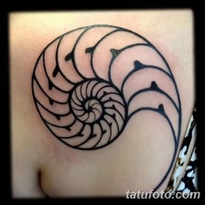 Фото тату: спираль наутилуса, выполненная в технике blackwork, с четкими линиями и геометрическими узорами.