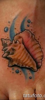 фото тату раковина от 19.08.2017 №004 — Tattoo shell_tatufoto.com