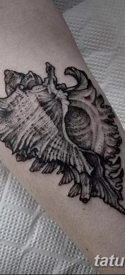 фото тату раковина от 19.08.2017 №014 — Tattoo shell_tatufoto.com