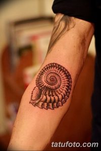 фото тату раковина от 19.08.2017 №018 - Tattoo shell_tatufoto.com