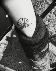 фото тату раковина от 19.08.2017 №021 - Tattoo shell_tatufoto.com