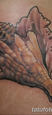 фото тату раковина от 19.08.2017 №022 — Tattoo shell_tatufoto.com