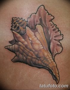 фото тату раковина от 19.08.2017 №022 - Tattoo shell_tatufoto.com