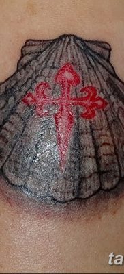 фото тату раковина от 19.08.2017 №023 — Tattoo shell_tatufoto.com