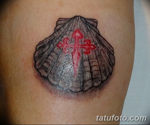 фото тату раковина от 19.08.2017 №023 - Tattoo shell_tatufoto.com