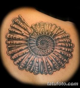 фото тату раковина от 19.08.2017 №024 - Tattoo shell_tatufoto.com