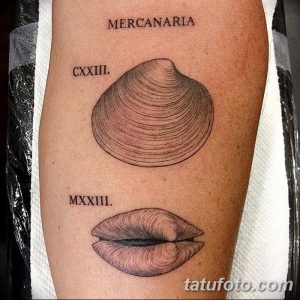 фото тату раковина от 19.08.2017 №025 - Tattoo shell_tatufoto.com